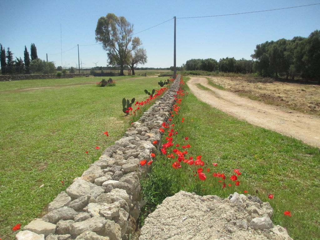 Hotel Masseria Coccioli Casalabate Rum bild